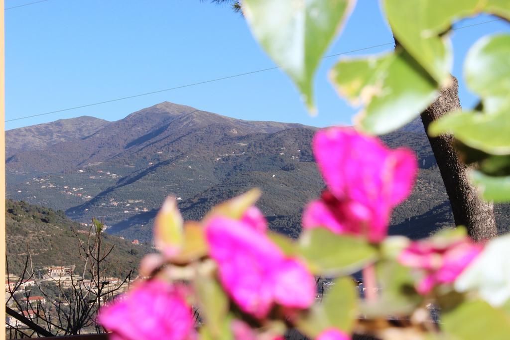 Tenuta Domine Imperia Ruang foto